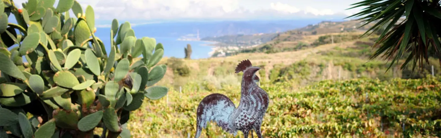 Tenuta Enza La Fauci Tenuta Enza La Fauci