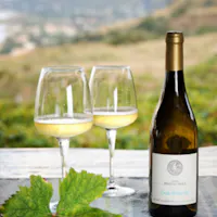 Tenuta Enza La Fauci Tenuta Enza La Fauci