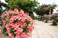 Giardino dell'Impossibile Giardino dell'Impossibile