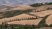 Incontri in Terra di Siena