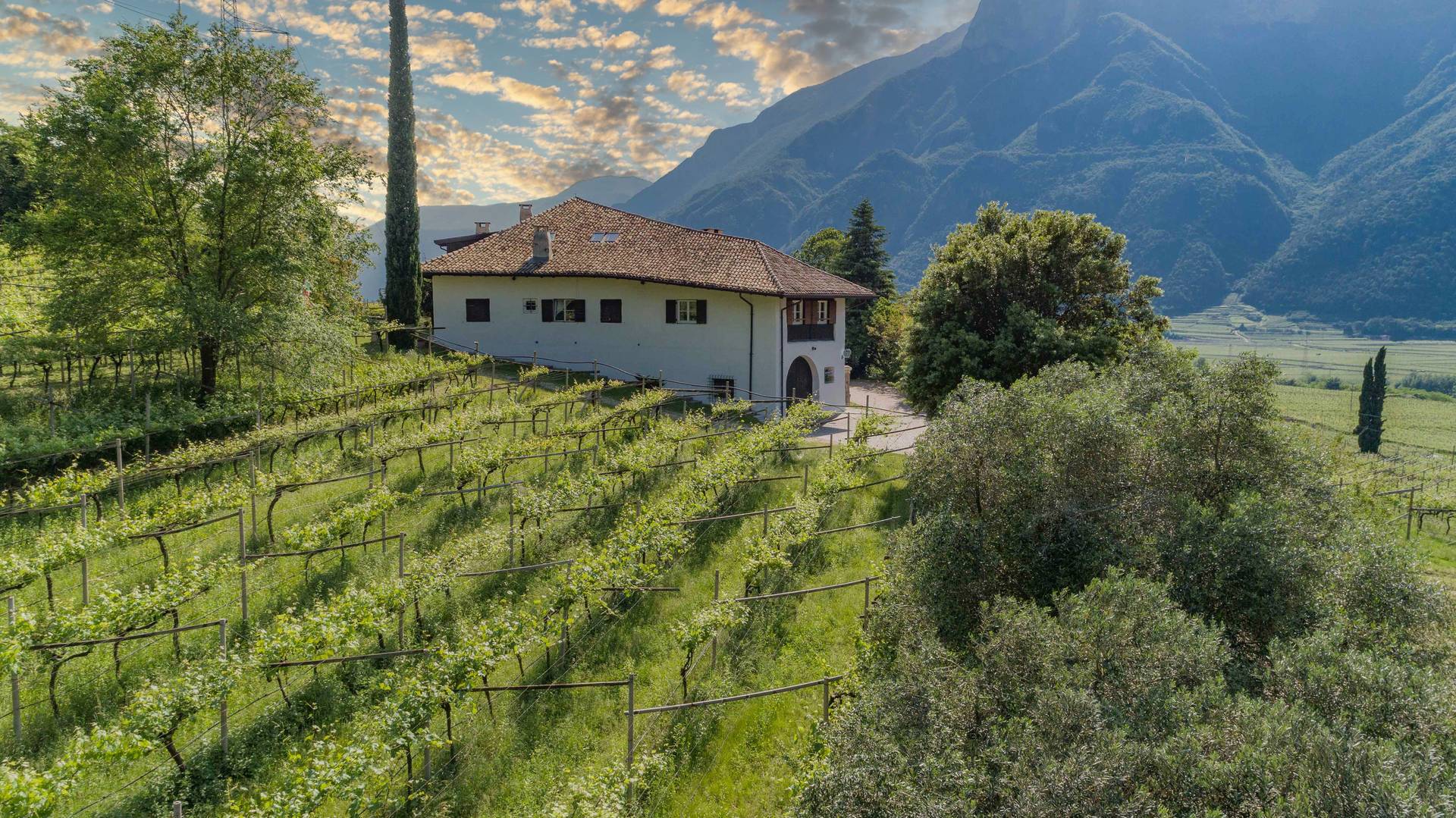 Azienda Agricola Vallarom