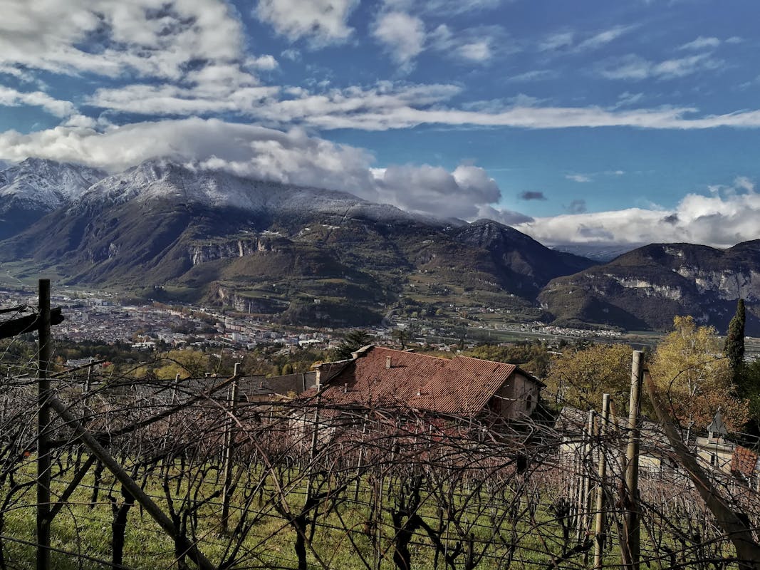 Maso Bergamini, Trento Maso Bergamini, Trento