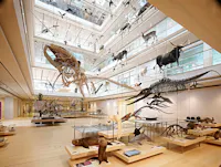 MUSE di Trento, MUSE -  Museo delle Scienze Trento, TRENTO (TN ) 