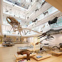 MUSE di Trento MUSE di Trento, MUSE - Museo delle Scienze Trento, TRENTO (TN )