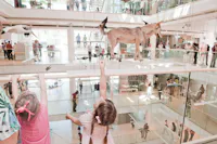 MUSE - Museo delle Scienze di Trento, MUSE -  Museo delle Scienze, TRENTO (TN ) 