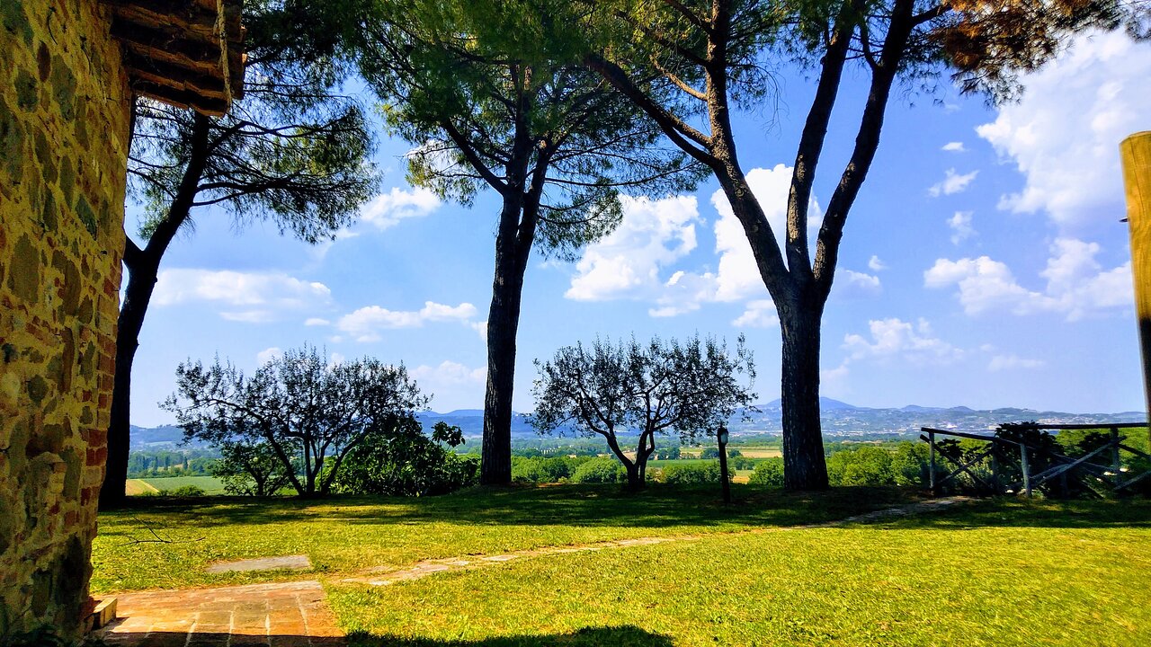 AGRITURISMO POGGIO ALLE VIGNE Torgiano (PG)
