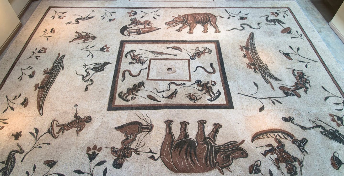 Museo della Città di Cannara Museo della Città di Cannara