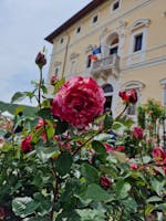 Perugia Flower Show Perugia Flower Show