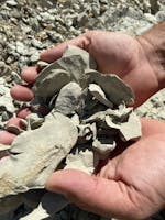 Cantina Vigna Roda Cantina Vigna Roda