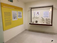 Museo della Centuriazione Romana