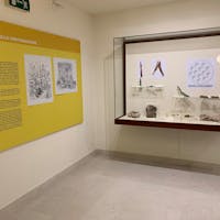 Museo della Centuriazione Romana Museo della Centuriazione Romana