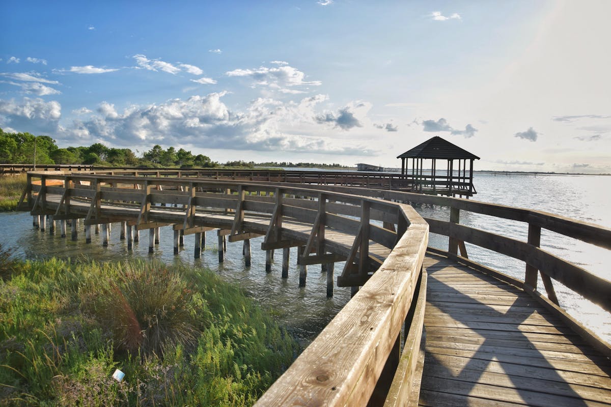 Giardiano Botanico Porto Caleri (RO) Giardiano Botanico Porto Caleri (RO)