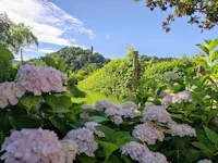 Agriturismo al Capitello - Ghisolana