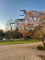 Castello Papadopoli Giol