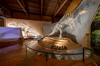 Museo di storia naturale