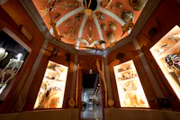 Museo di storia naturale