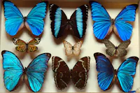 Museo di storia naturale