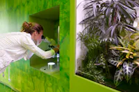 Museo di storia naturale