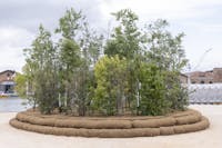Cool Forest - Kate Orff, SCAPE Landscape Architecture Marco Scano Max Piana Craig Douglas