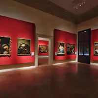 Palazzo Chiericati, Percorso Ala Roi Palazzo Chiericati, Percorso Ala Roi