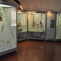 Museo naturalistico archeologico, sezione naturalistica Museo naturalistico archeologico, sezione naturalistica