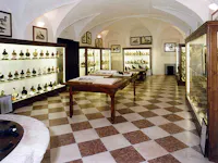 Wild Life Museum Wild Life Museum