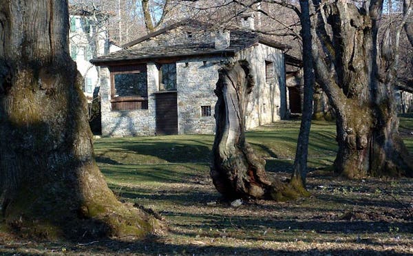 BOSCO DEL PORANCETO