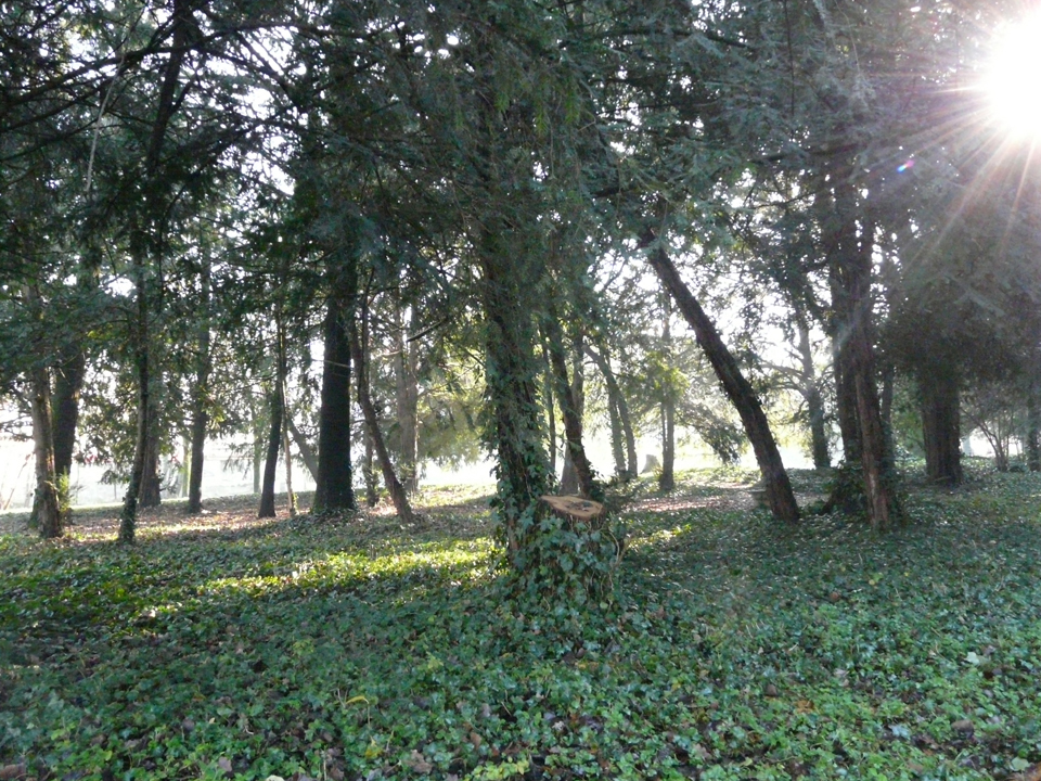 PARCO LUCCA