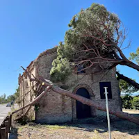 Madonna del Pino Madonna del Pino