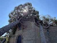 Madonna del Pino Madonna del Pino