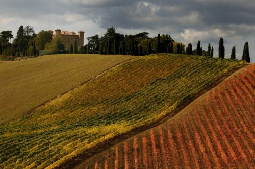 COLLINE REGGIANE E TERRE MATILDICHE