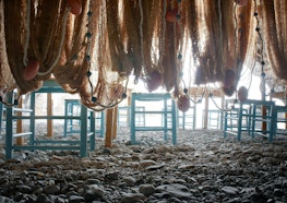 San Fruttuoso, ABBAZIA DI SAN FRUTTUOSO, CAMOGLI (GE ) 