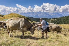 Alpe Pedroria e Madrera in estate