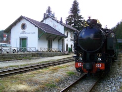 Treno della Sila, I GIGANTI DELLA SILA, SPEZZANO DELLA SILA (CS ) 