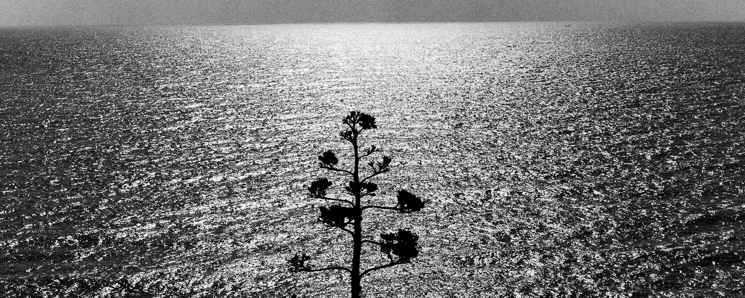 Ossi di Seppia. Ugo Mulas, Eugenio Montale