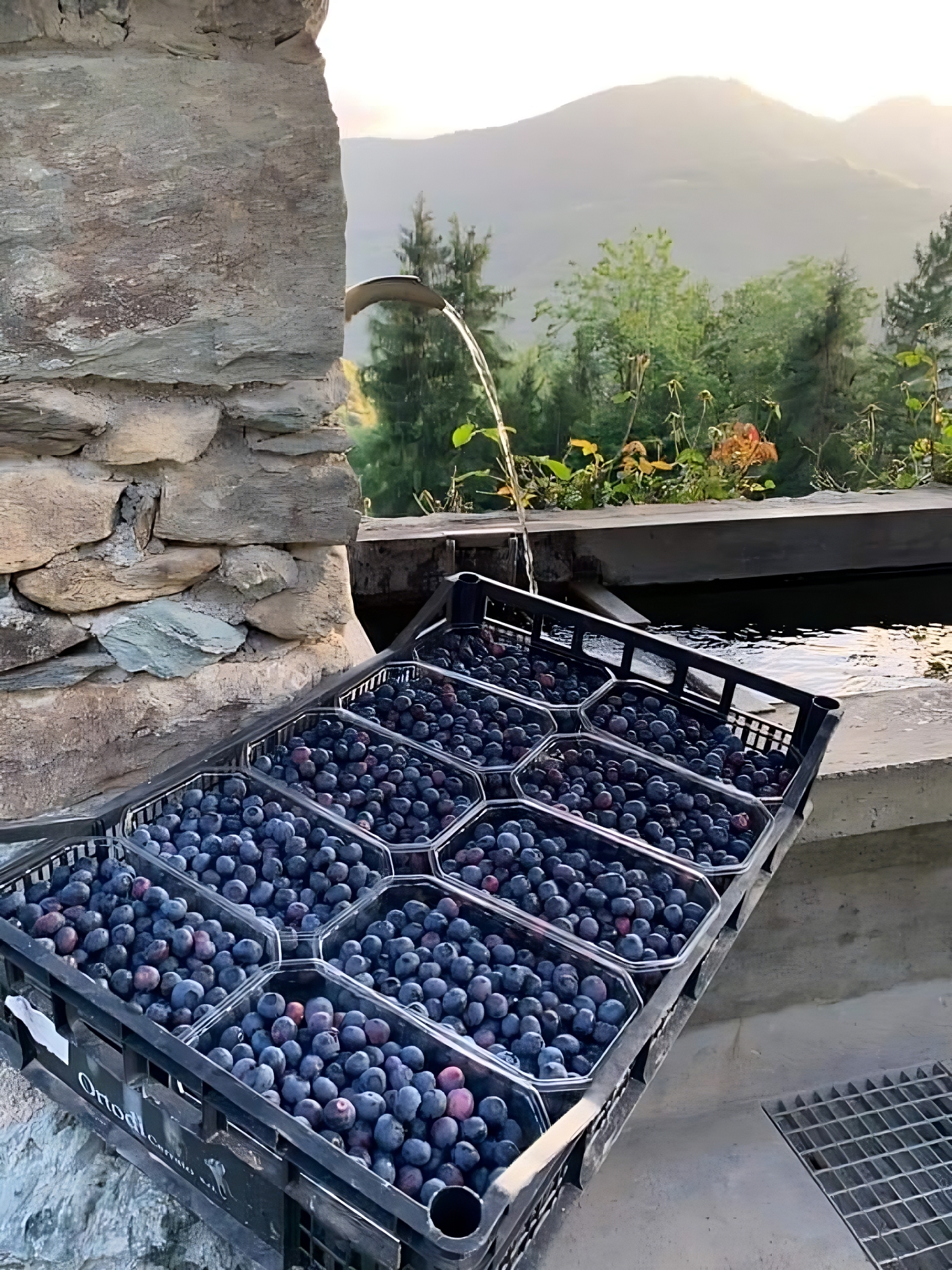 Agrotech - Agricoltura a 900 metri