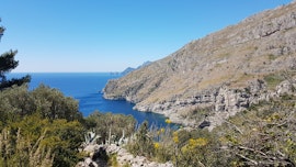 Corso di birdwatching