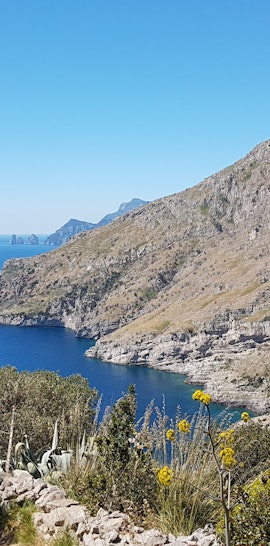 Corso di birdwatching