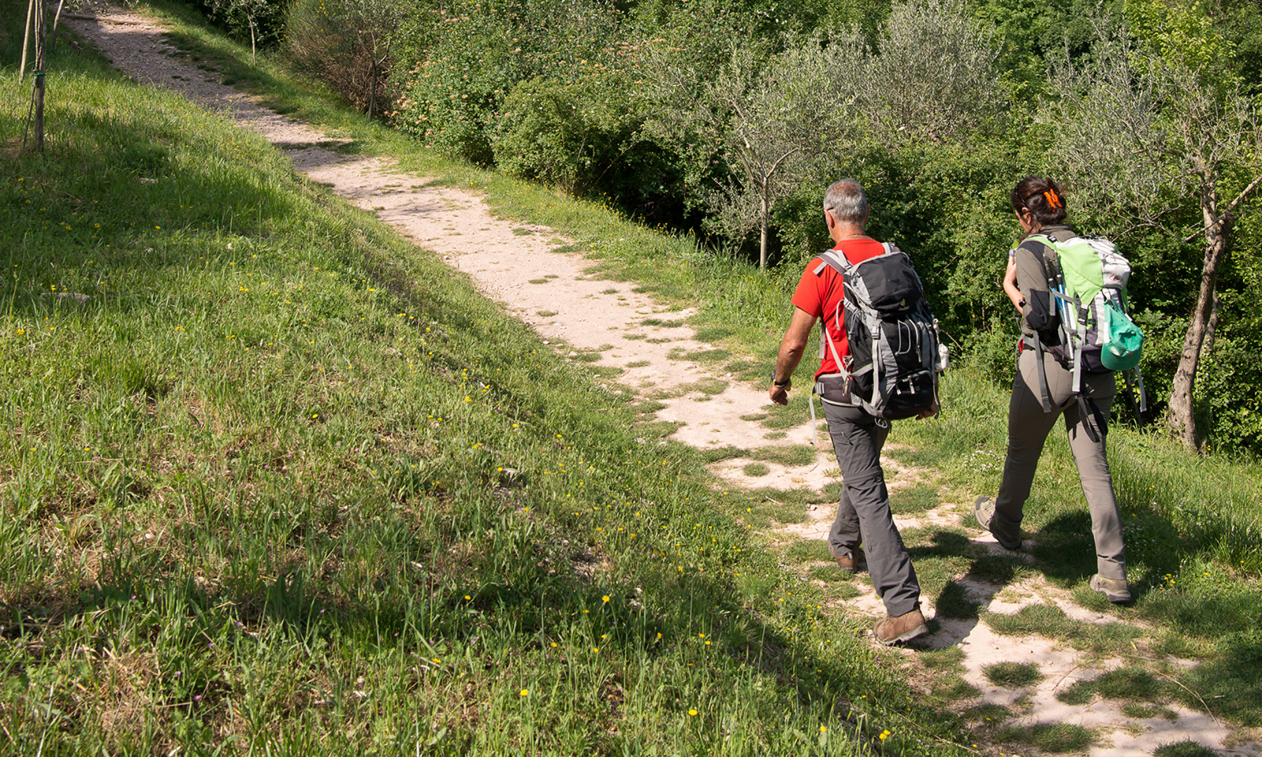 scarpe per camminare nel bosco