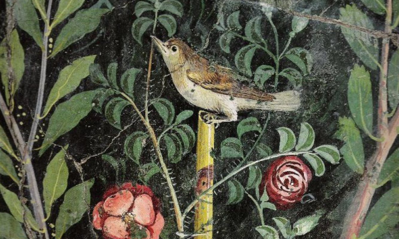 Botanica in città Botanica in città