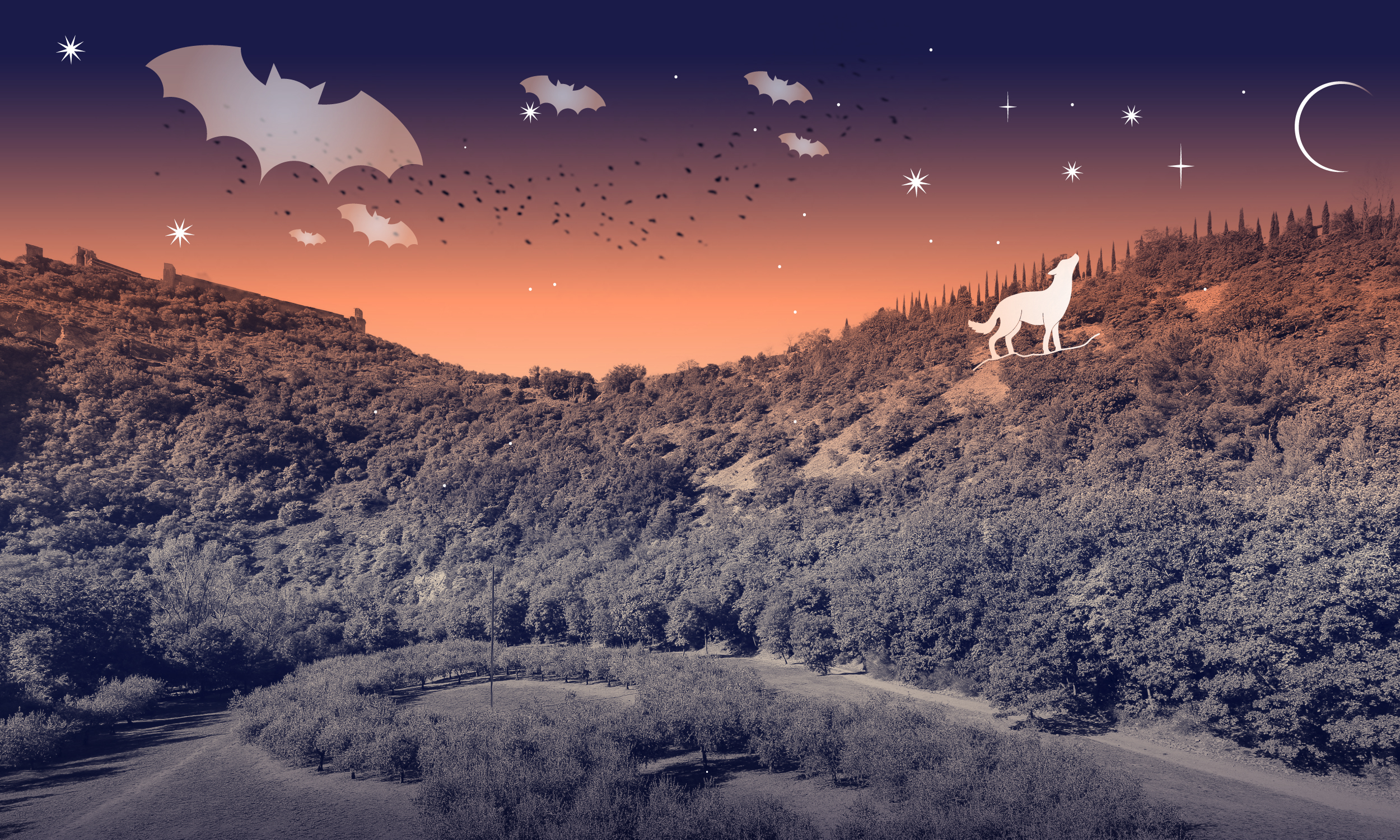 Creature notturne