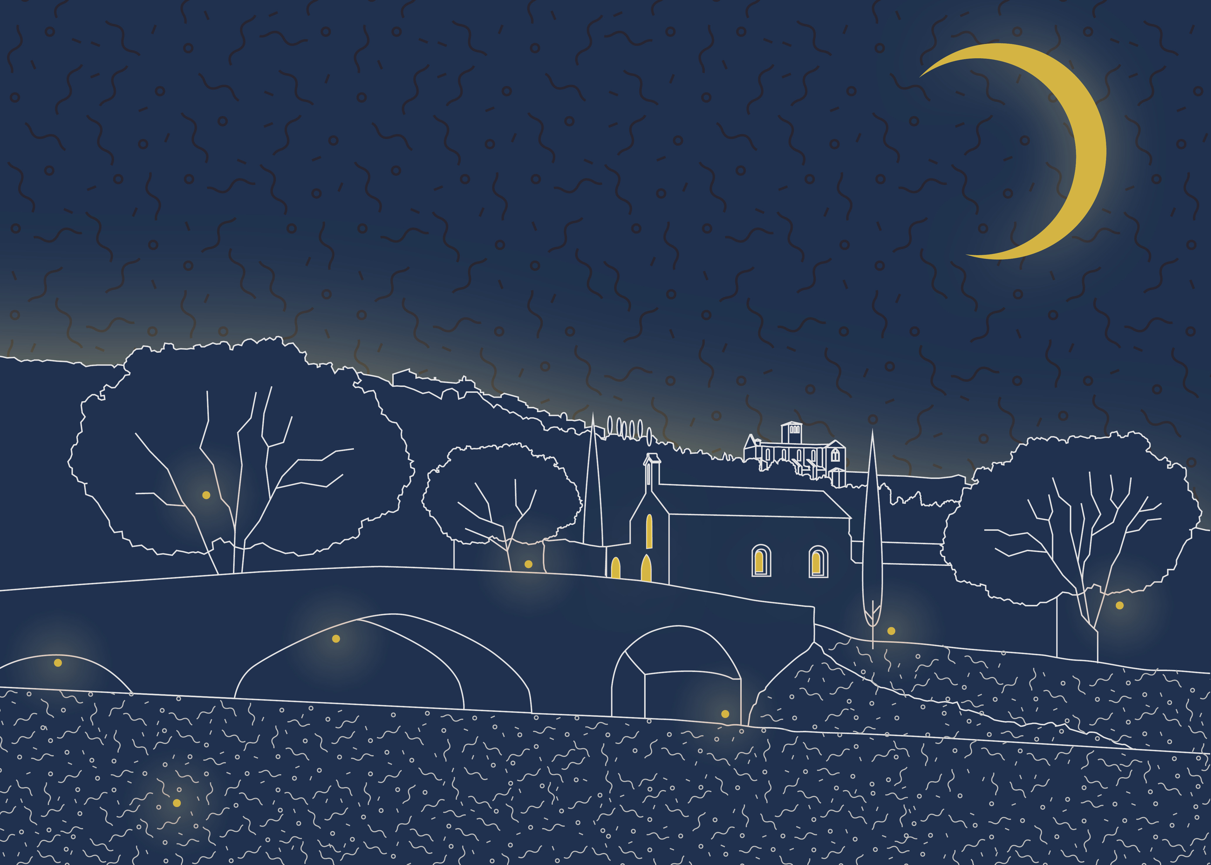 Francesco il Cavaliere di Dio