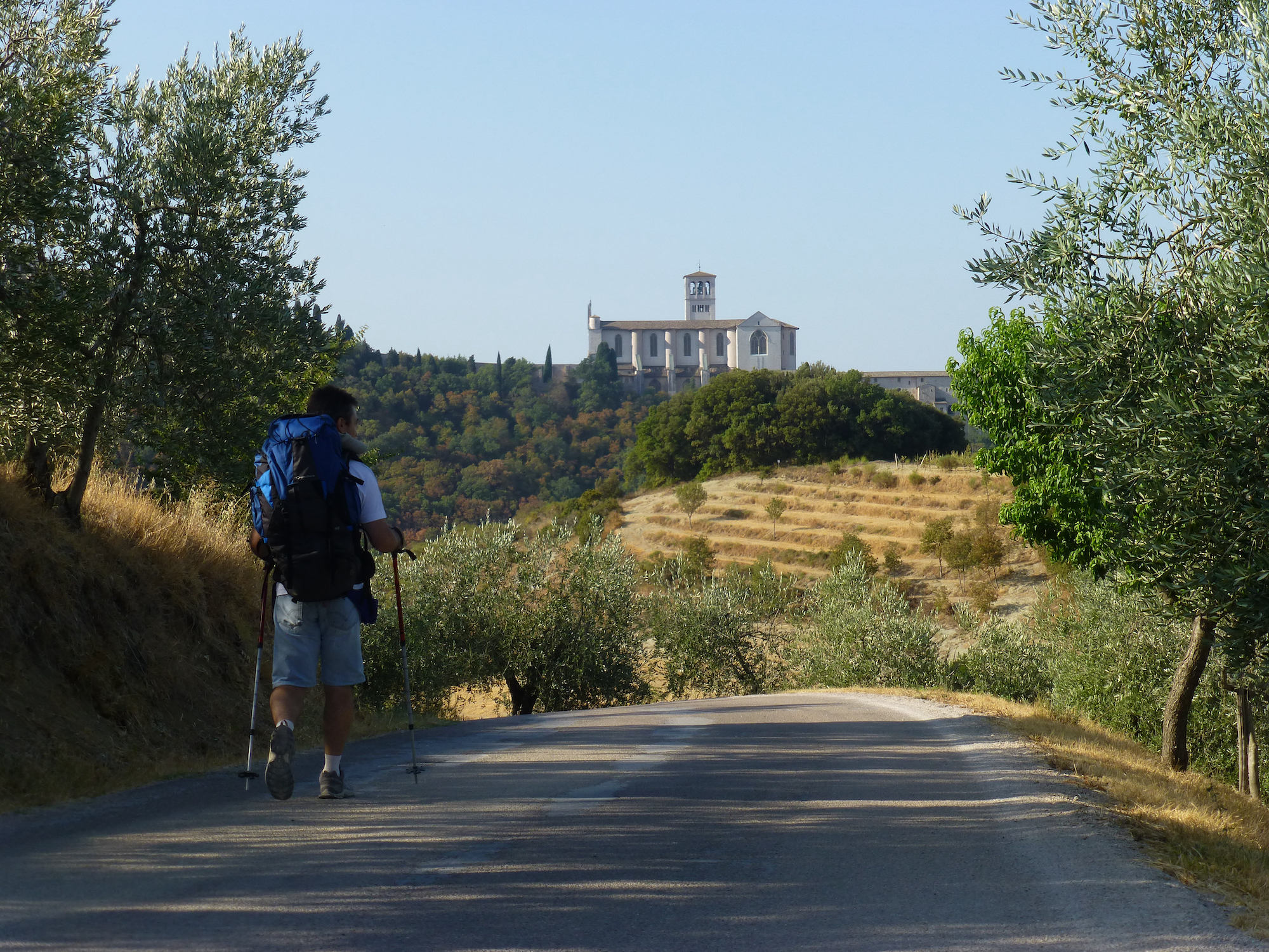 Il Bosco, un paesaggio tra storia e natura