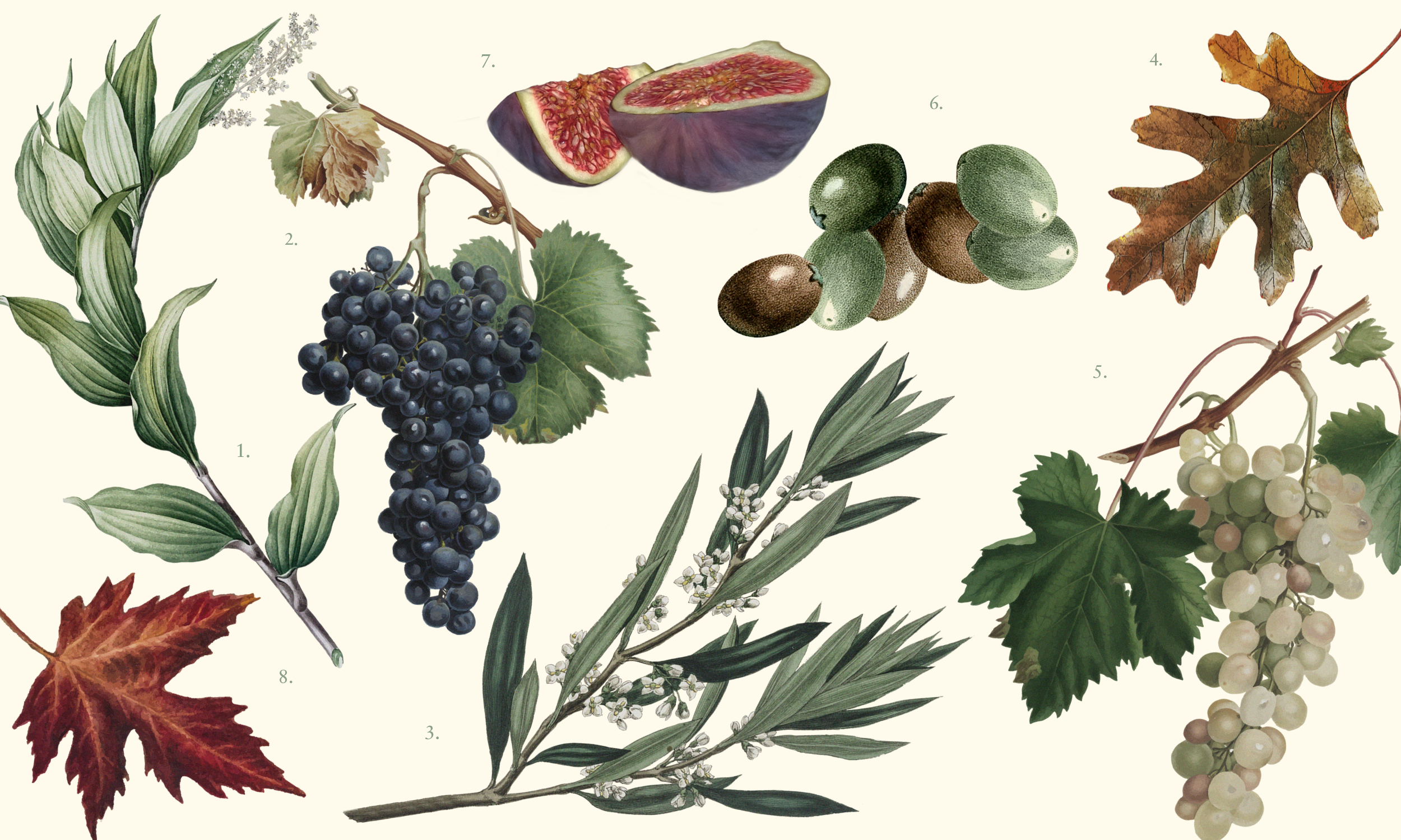 Sapori d'autunno: degustazione di vino e olio in Giardino