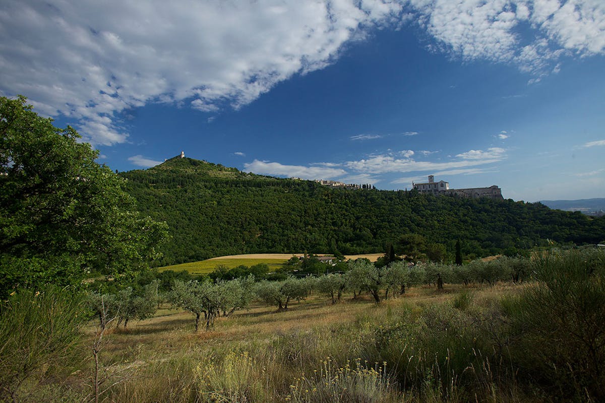 Ti racconto il bosco Ti racconto il bosco