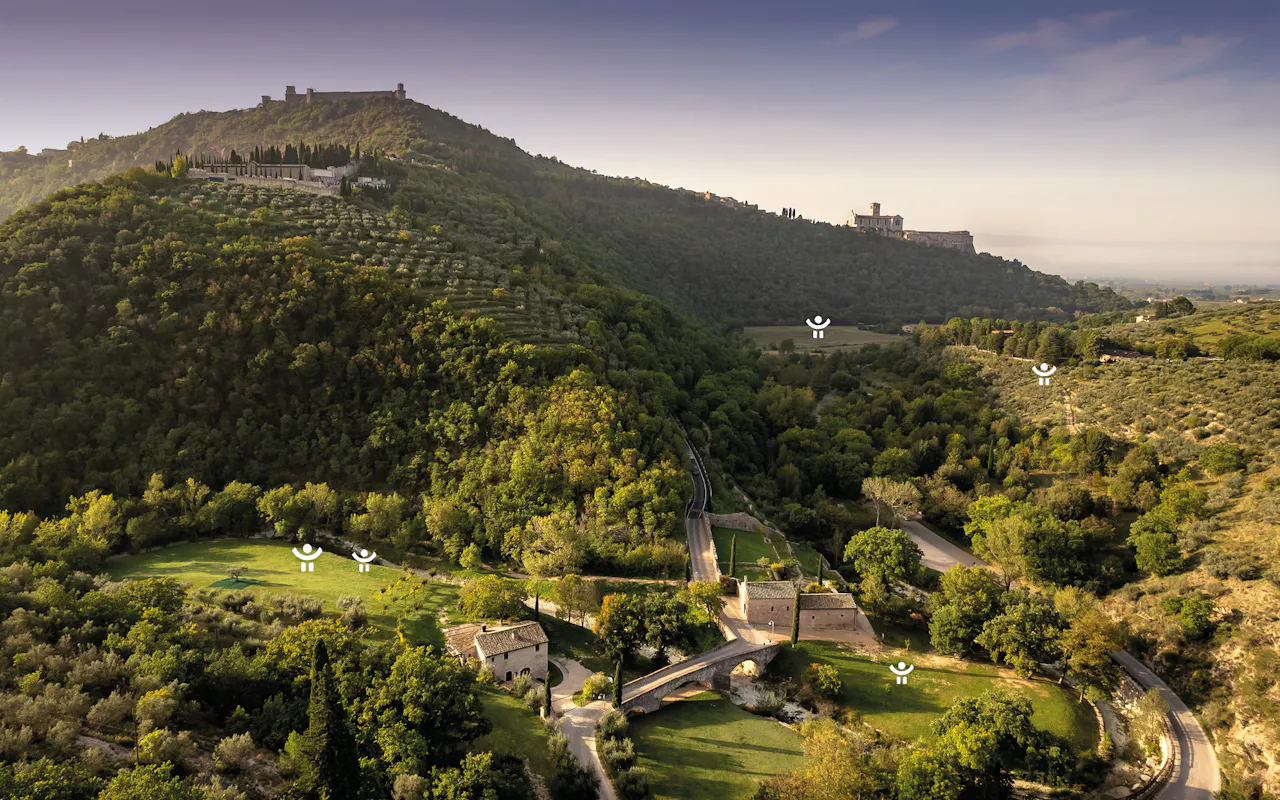 Voli di rondoni su Assisi Voli di rondoni su Assisi