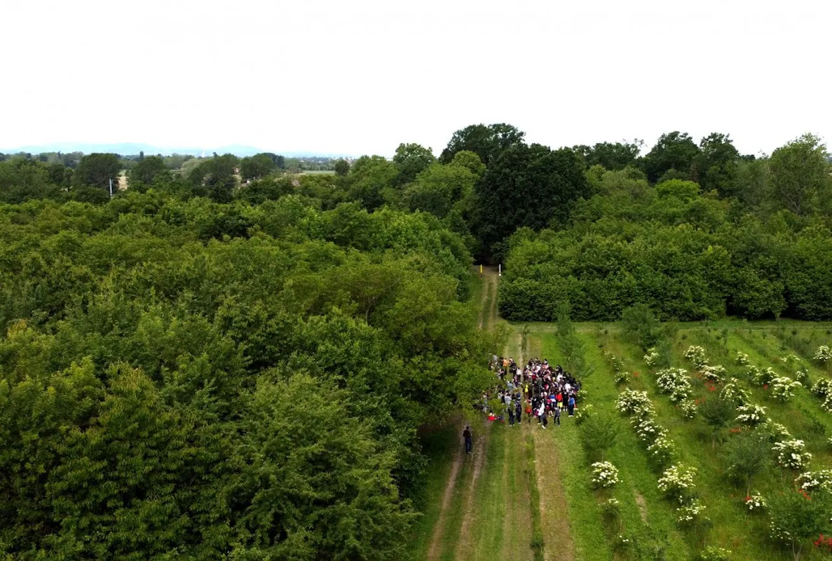 Bosco Spaggiari Bosco Spaggiari