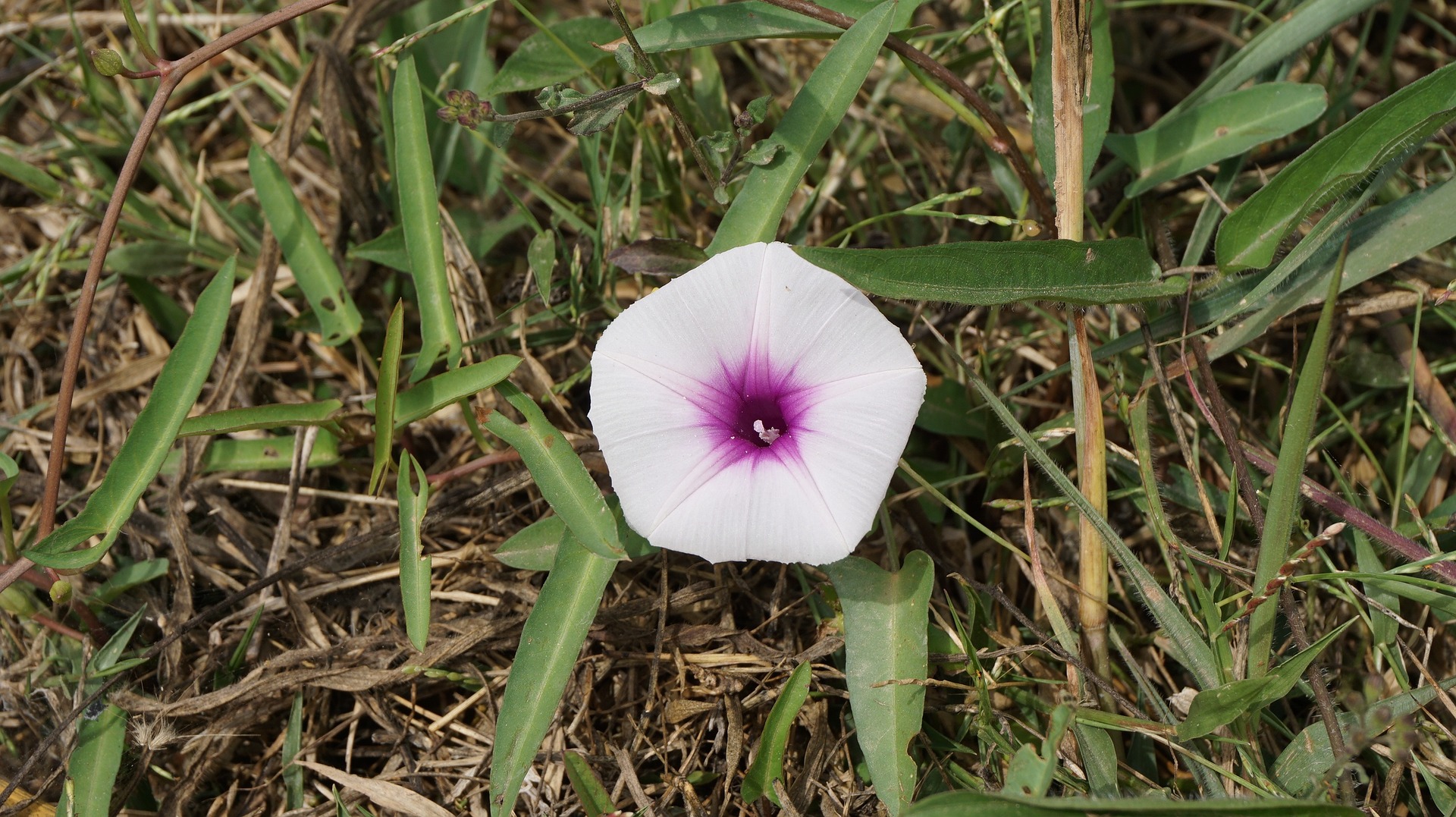 Camminata in Val Borbera alla scoperta di Cascina Barbàn