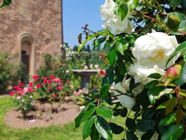 Fiori al ritmo delle stagioni