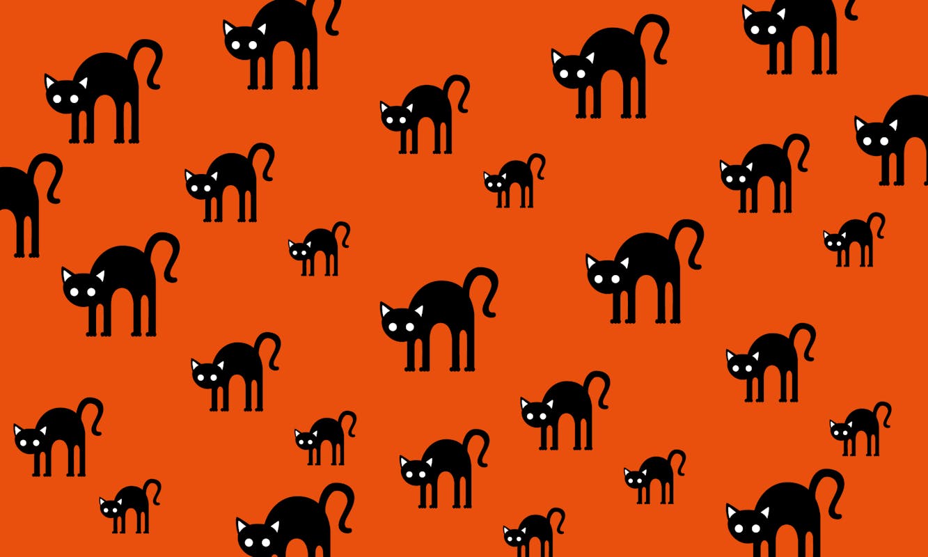 Ombre e misteri in Castello - posti esauriti Ombre e misteri in Castello - posti esauriti